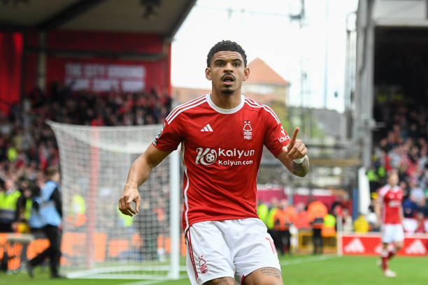 推出了多款 推出了多款