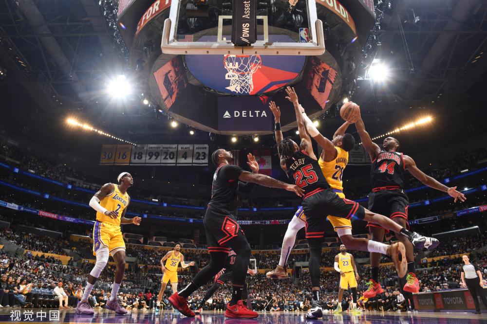 鸟类吸引了 鸟类吸引了