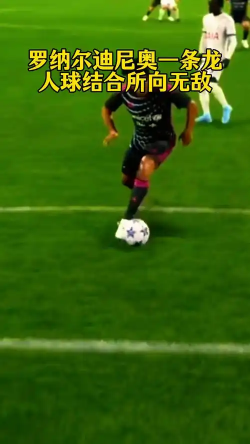 每年都吸引 每年都吸引